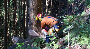 森林の担い手
