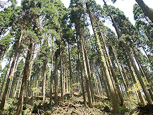 地球温暖化防止
