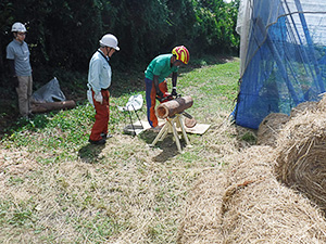 森林作業士（フォレストワーカー）研修