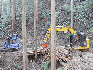 森林作業士（フォレストワーカー）研修